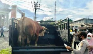 Cegah PMK, Tim Gabungan Tolak dan Larang Ternak dari Luar Masuk ke Kabupaten Aceh Barat