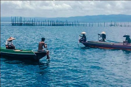 Si Yuyu Laut Ini jadi 5 Besar Komoditas Ekspor Hasil Kelautan Indonesia, Tak Disangka Begitu Disukai di Luar Negeri