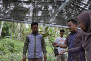 Tanam 10.000 Pohon Mangrove, PLN Cegah Bahaya Abrasi di Lokasi Eko Wisata Pantai Telok Berdiri