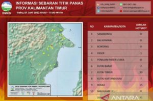 Tersebar di Lima Kabupaten, BMKG Deteksi 45 Titik Panas di Provinsi Kaltim