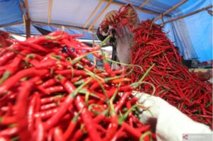 Agar Harga Kembali Normal, Badan Pangan Nasional Distribusi Cabai dari Sulawesi Selatan ke Jakarta