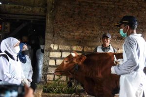 Sambut Idul Adha 1443 H, Jatim Siapkan 1.276 Juru Sembelih Halal