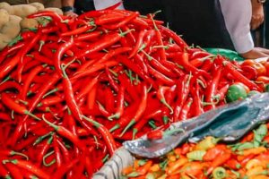 Produksi Cabai di Temanggung Capai 2.323 Ton, Hingga Agustus 2022 Mengalami Surplus