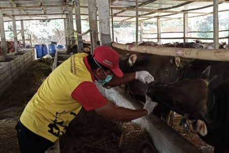 Pemkot Solo Siapkan 60 Petugas Pemeriksa Kesehatan Hewan Kurban