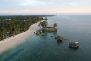 Bersih-Bersih Pantai Teleng Ria Pacitan, KKP Kumpulkan 1,4 Ton Sampah