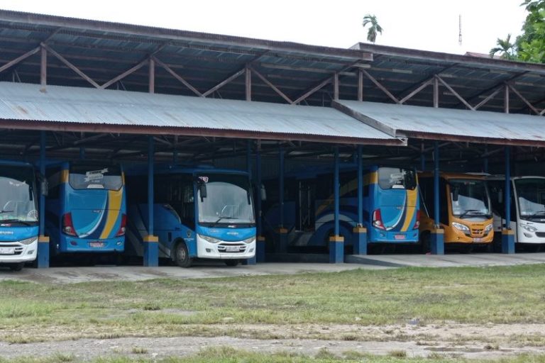 Memuat Hasil Pertanian, Dishub Papua Barat Lakukan Pengadaan Kendaraan Umum di Dua Desa