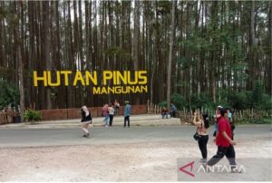 Dinas Pariwisata Yogyakarta Perkuat Penyelenggaraan Kegiatan Wisata