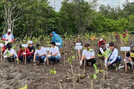 Rayakan Hari Jadi ke-66, Danamon Ajak Karyawan Tanam 10 Ribu Mangrove