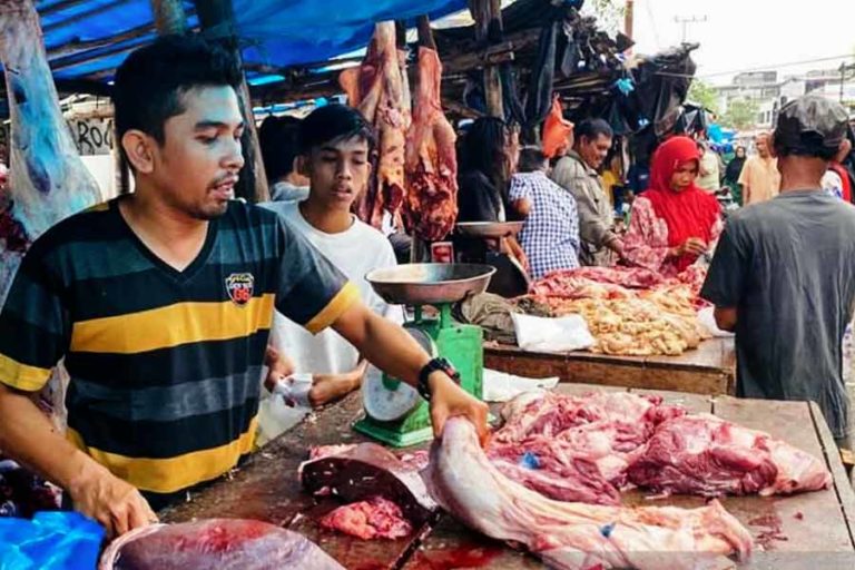 Jelang Tradisi Meugang, Pemkab Aceh Barat Perketat Pemeriksaan Ternak