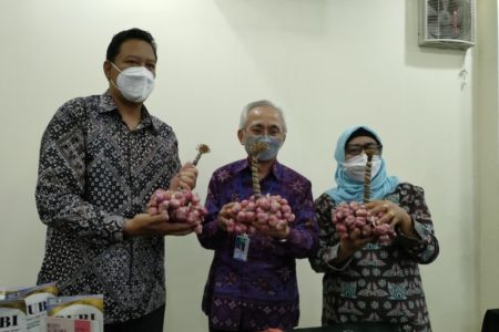 Jaga Stabilitas harga, IPB Tawarkan Bawang Merah Produktivitas Tinggi