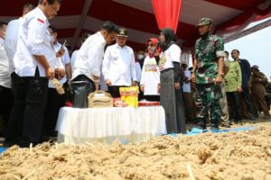 Mentan Ingin Kembangkan Sorgum Jadi Alternatif Makanan Pokok Indonesia