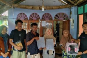 Temukan Kukang di Dalam Rumah, Ismalini Serahkan ke Resor KSDA Maninjau