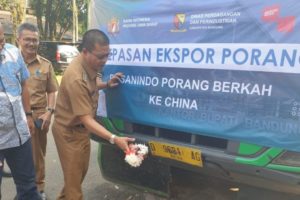 Kadin Fasilitasi Petani Bandung Ekspor 57 Ton Porang ke China