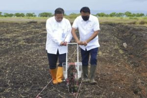 Ikuti Arahan Presiden Jokowi, Provinsi Jawa Tengah Tambah Lahan Sorgum