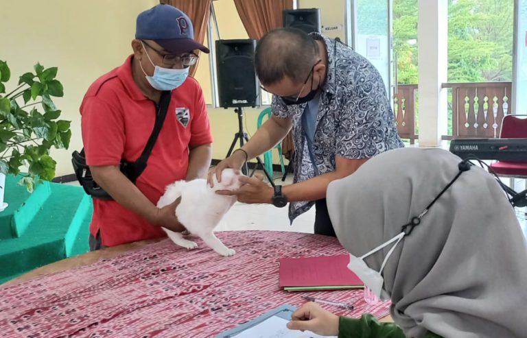 Edukasi Peduli Kucing Jalanan, Poscar Gelar Festival Kucing Kampung ke-4