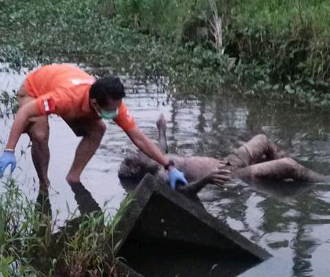 Warga Parit Baru Dikejutkan Penemuan Mayat