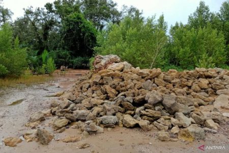 Semakin Parah, Kondisi Abrasi di Wilayah Pesisir Penajam Pasir Dibutuhkan Penanganan Serius