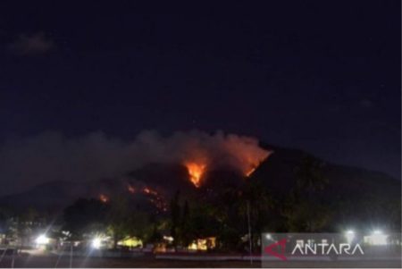 Sangat Mudah Terbakar, NTT Waspada Karhutla