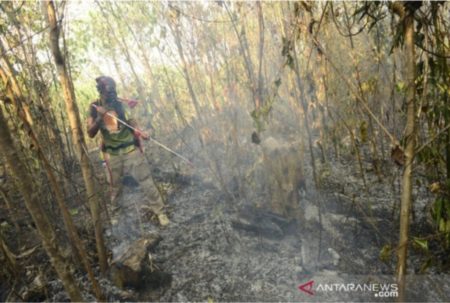 Indikator Karhutla, BMKG Deteksi 90 Titik Panas di Kalimantan Timur