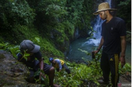 Komitmen Bersama, Serikat Petani Indonesia di Kalsel akan Tanam 6.000 Bibit Kopi di Kawasan Obyek Wisata