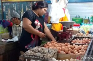 Naik Selama Sepekan, Harga Telur di Jember Tembus Rp30 Ribu per Kilogram