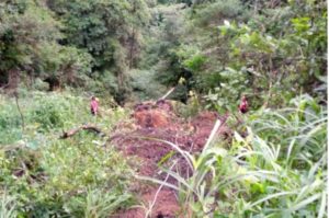 Masuk Jurang, Pengemudi Truk Hilang di Jalan Raya Sitinjau Laut Kelok Padang
