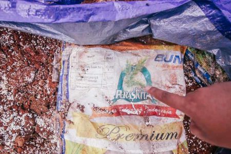 Soal Timbunan Beras Bansos di Depok, Begini Klarifikasi Kemenko PMK