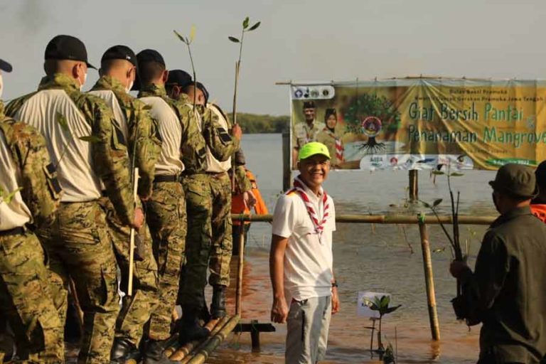 Ganjar dan Pramuka Kwarda Jateng Tanam 3.500 Bibit Mangrove di Semarang