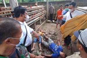 Dua Warga Blitar Meninggal Dunia di Kandang Ayam Karena Kesetrum