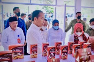 Presiden Jokowi Minta Provinsi di Indonesia Kembangkan UKM Mart
