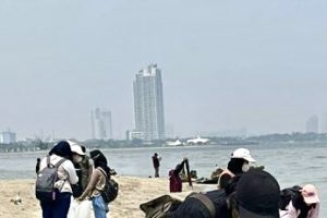 Bersih Lingkungan, BEM UI Kumpulkan Sampah di Pesisir Pantai di Jakarta Utara