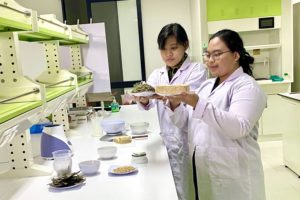 Tiga Mahasiswa Ubaya Ciptakan Mie Tebak Manfaatkan Gizi Tempe dan Sangkubak