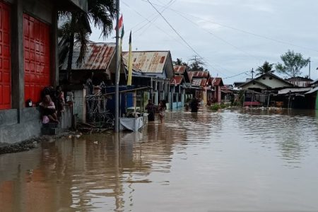 Akibat Sungai Meluap, 1.338 Rumah di Kota Palu Terendam Banjir
