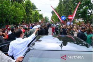 Kunker Hari Kedua, Presiden RI akan Temui Peternak Kerbau di Maluku