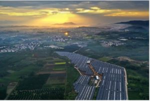 Berdampak 80 Persen, Petani di Provinsi Zhejiang Rasakan Manfaat Energi Hijau