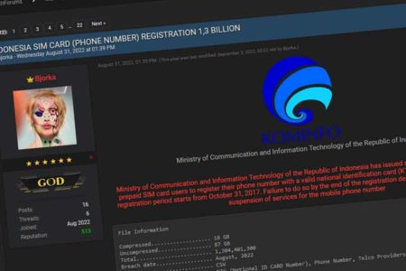 Aksi Bjorka bukan Demonstrasi Modern, Ini Penjelasan Pakar