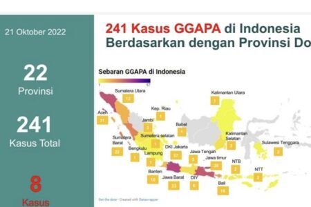 Tingkat Kematian Pasien Gagal Ginjal Akut di Indonesia Capai 50 Persen