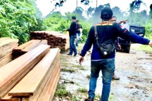 KPH Selidiki Anggota Polisi Kehutanan yang Terlibat Pembalakan Liar di HPT Air Ikan