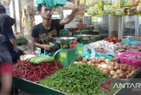 Usai Gempa di Tapanuli Utara, Pemkot Kepri Pastikan Pasokan Pangan Aman