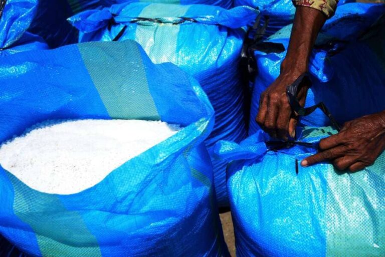 Panen garam di Tambak Osowilangun Surabaya