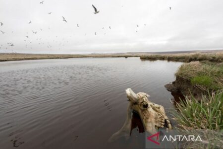 Ditengah Eksodus Massal, Dua Warga Rusia Pencari Suaka Tiba di Pulau Terpencil di Alaska