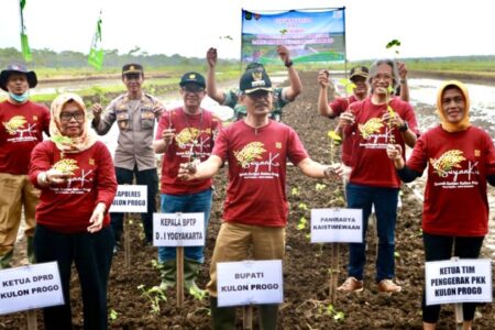 SurjanKU, Program Optimalisasi Lahan Sawah di Pesisir Selatan Kulon Progo