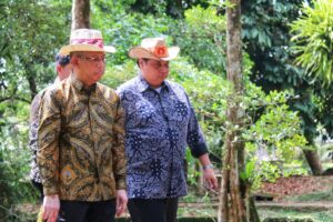 Kendalikan Kondisi Lingkungan, Kalbar Luncurkan Aplikasi SIPPOHON