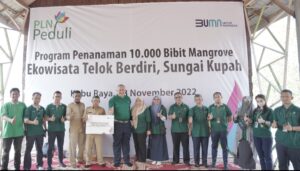 Kurangi Dampak Abrasi dengan Kembali Tanam 10 Ribu Pohon Mangrove, PLN UID Kalbar Hijaukan Kawasan Pantai