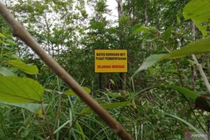 Tokoh Masyarakat Penajam Paser Harap Pembangunan IKN Wajib Memberikan Kompensasi Terhadap Lahan Warga