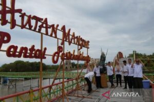 Kunjungan Wisata Cenderung Sepi, Anggota DPRD Meminta Pemerintah Lakukan Revitalisasi Wisata Mangrove di Kulonprogo