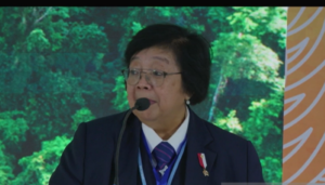 Dari 2020 Hingga 2022 Menteri LHK Yakin Indonesia Sukses Cegah Kebakaran Sebabkan Kabut Asap