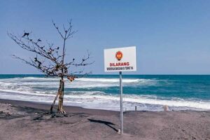 Tata Pantai Selatan, Bantul Gandengan Para Ahli dan Pelaku Usaha