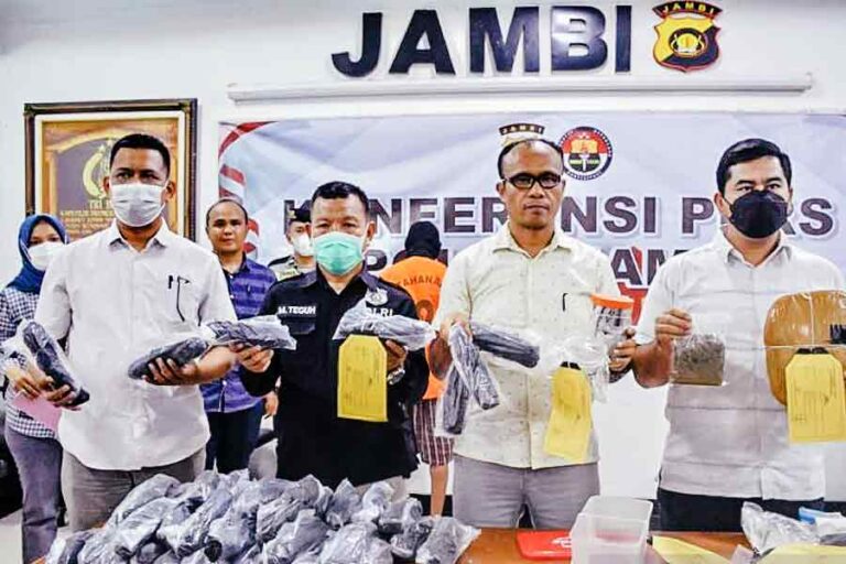 Jadi Kurir Ganja Milik Kakak Kandung, Pelajar di Jambi Diamankan Polisi