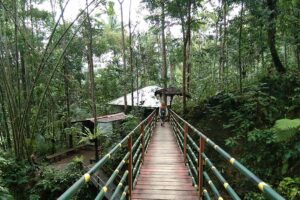 Ekowisata Sungai Mudal, Permata Tosca di Tengah Bukit Menoreh